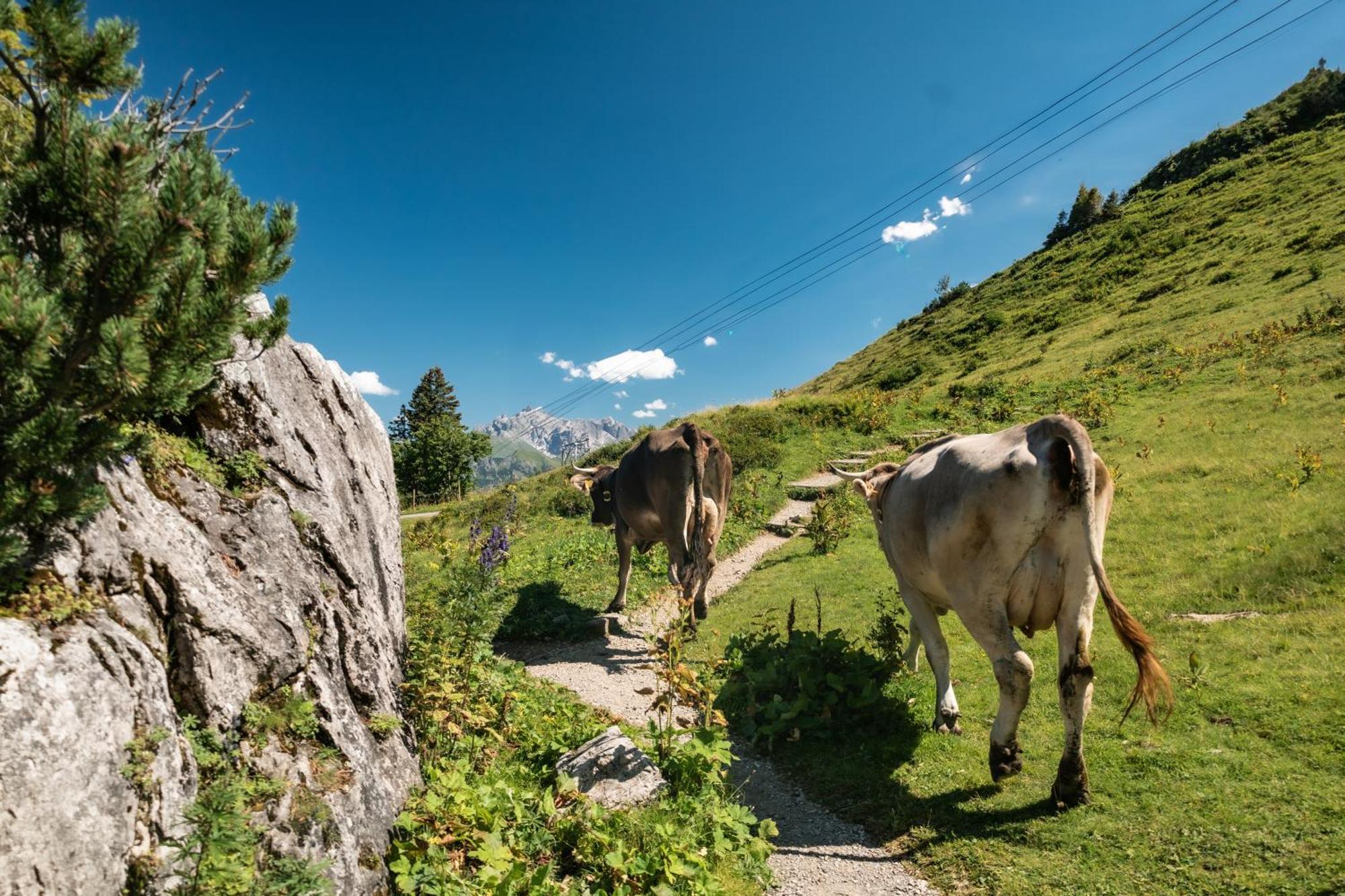 Ferienhaus Geiger Oberstdorf Eksteriør billede